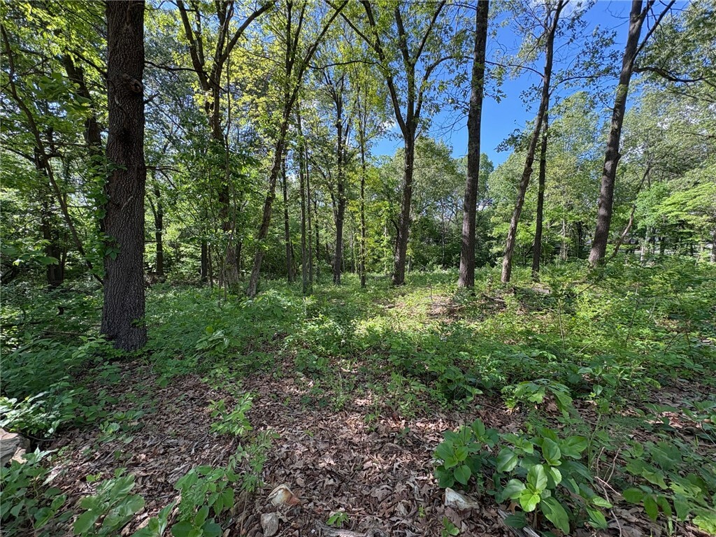 Property Photo: 1788 Cody Court AR 72601