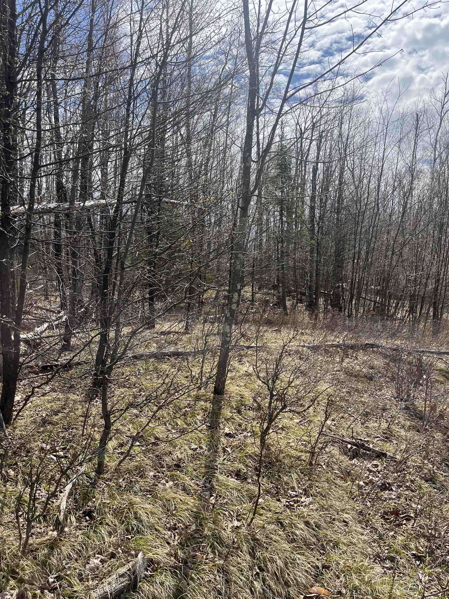 Property Photo: Nature Trail Road WI 54175
