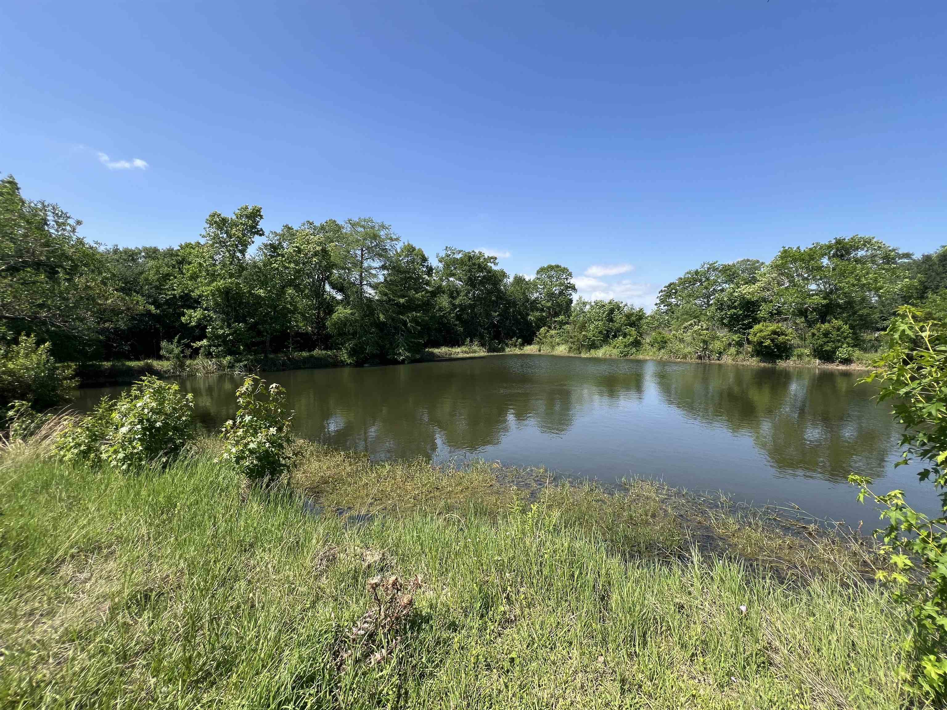 Property Photo:  3553 Glen Dr  TX 77705 
