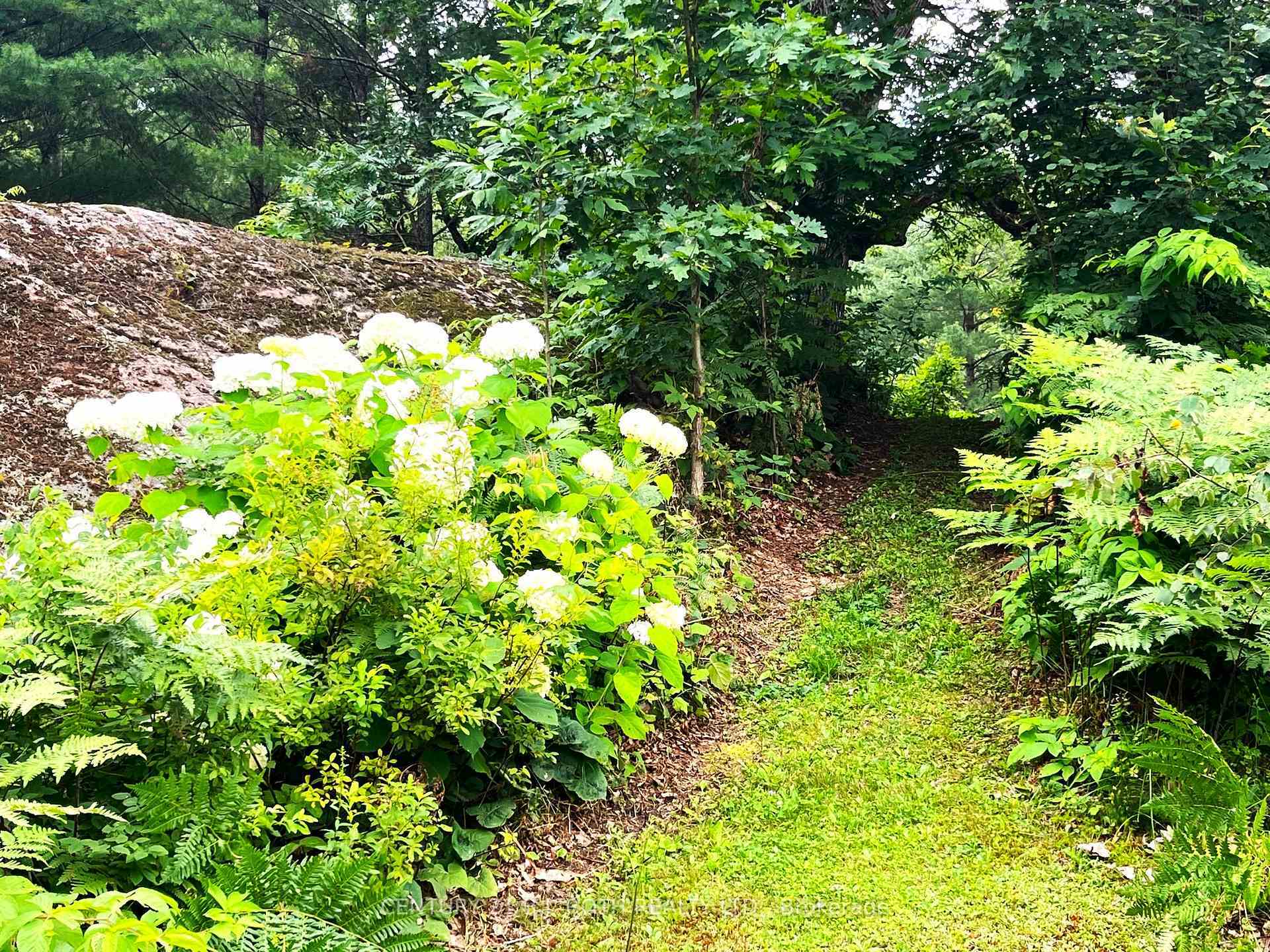 Property Photo: 20 Black River Road ON L0K 2B0
