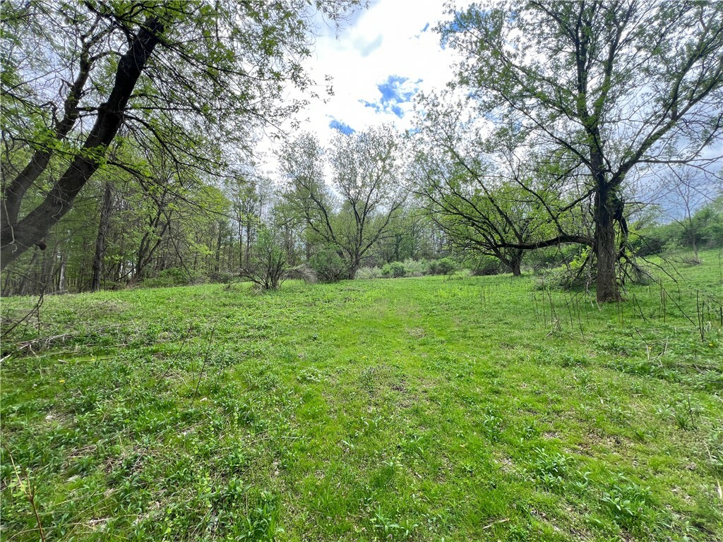 Property Photo: 0 Brown Road NY 14883