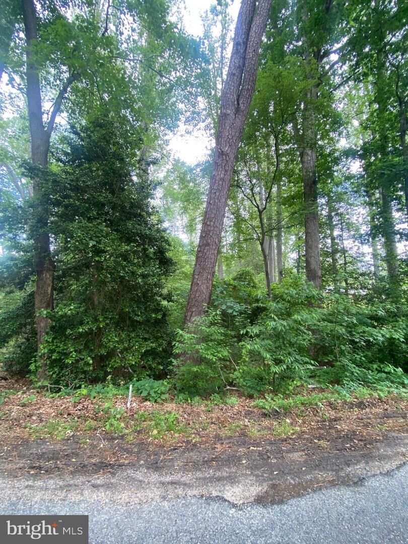 Property Photo:  Dry Bridge Rd  VA 22546 