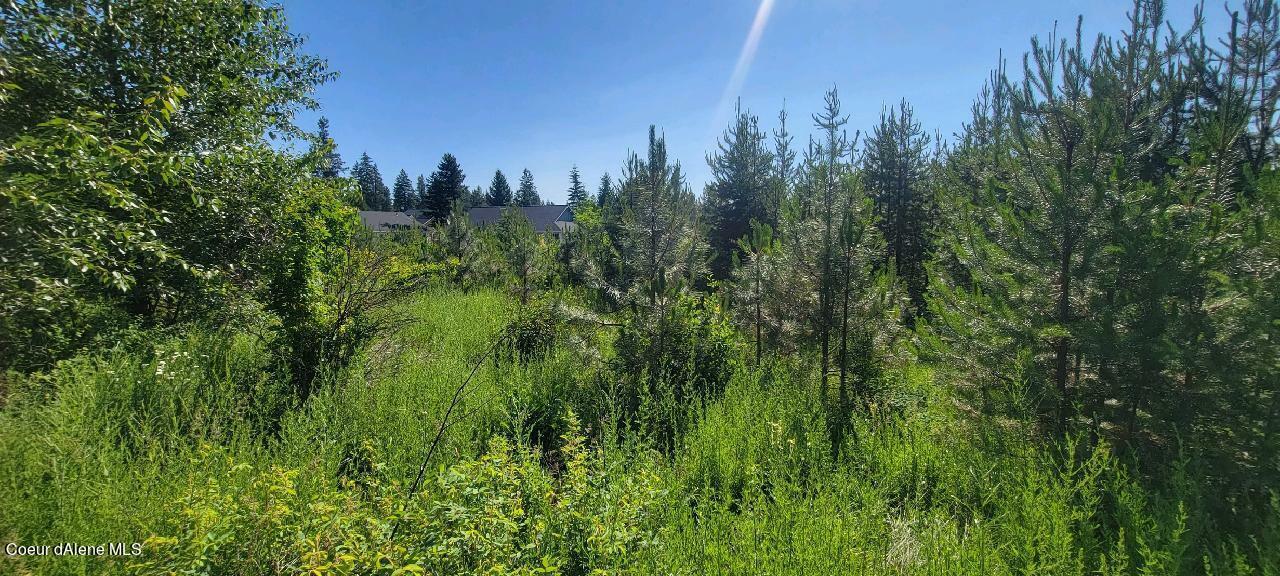 Property Photo: Lt 4 W Fredrick Loop ID 83869