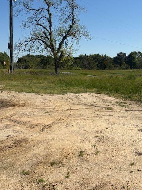 Property Photo: 0 Georgia Hwy 257 GA 31071