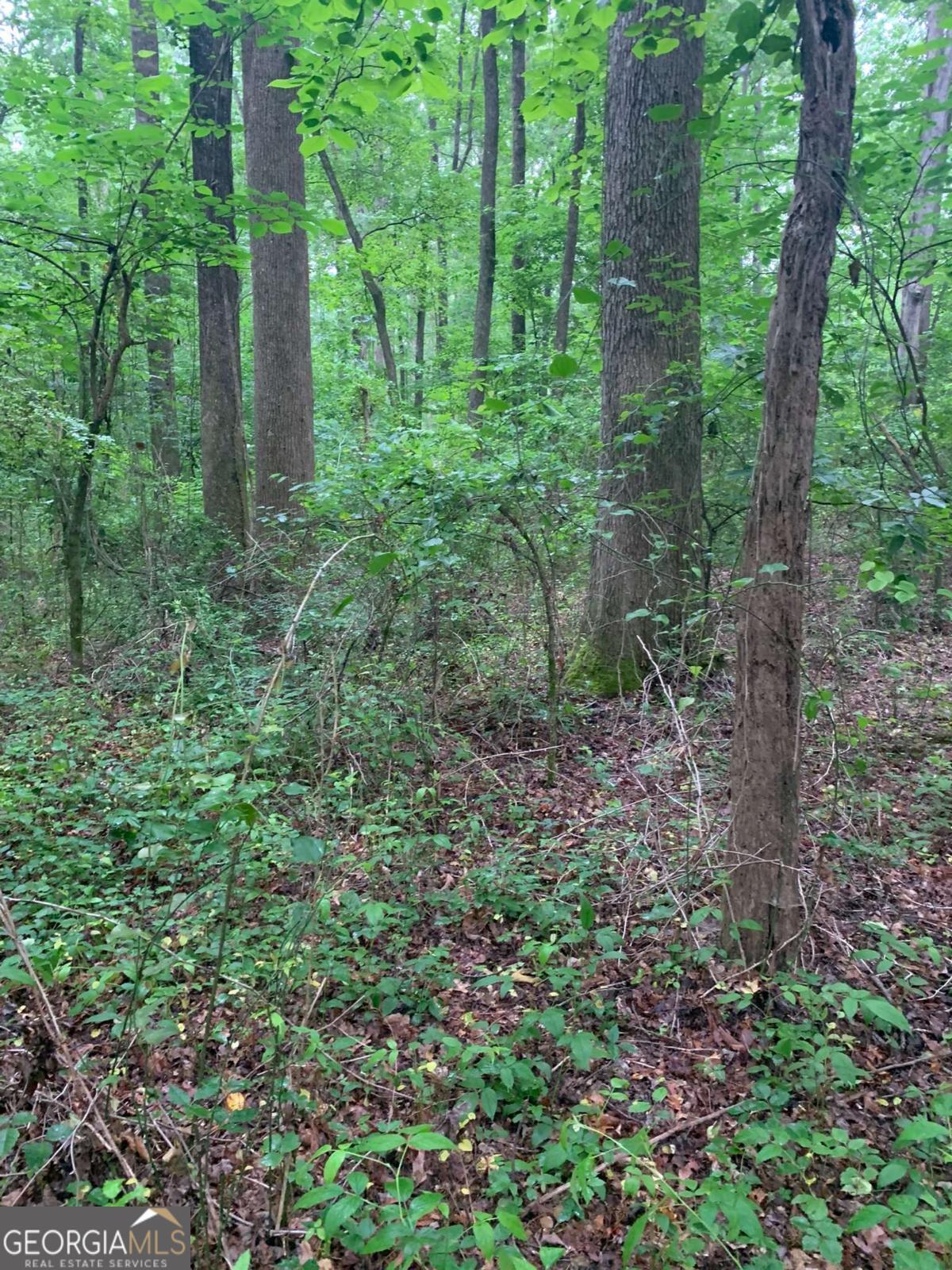 Property Photo: 7700 Poole Circle Tract B GA 30510