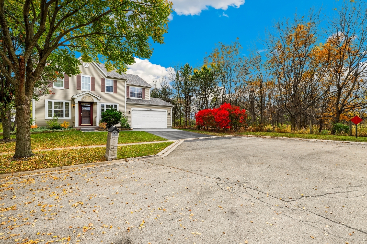 Property Photo: 730 Charismatic Drive IL 60543