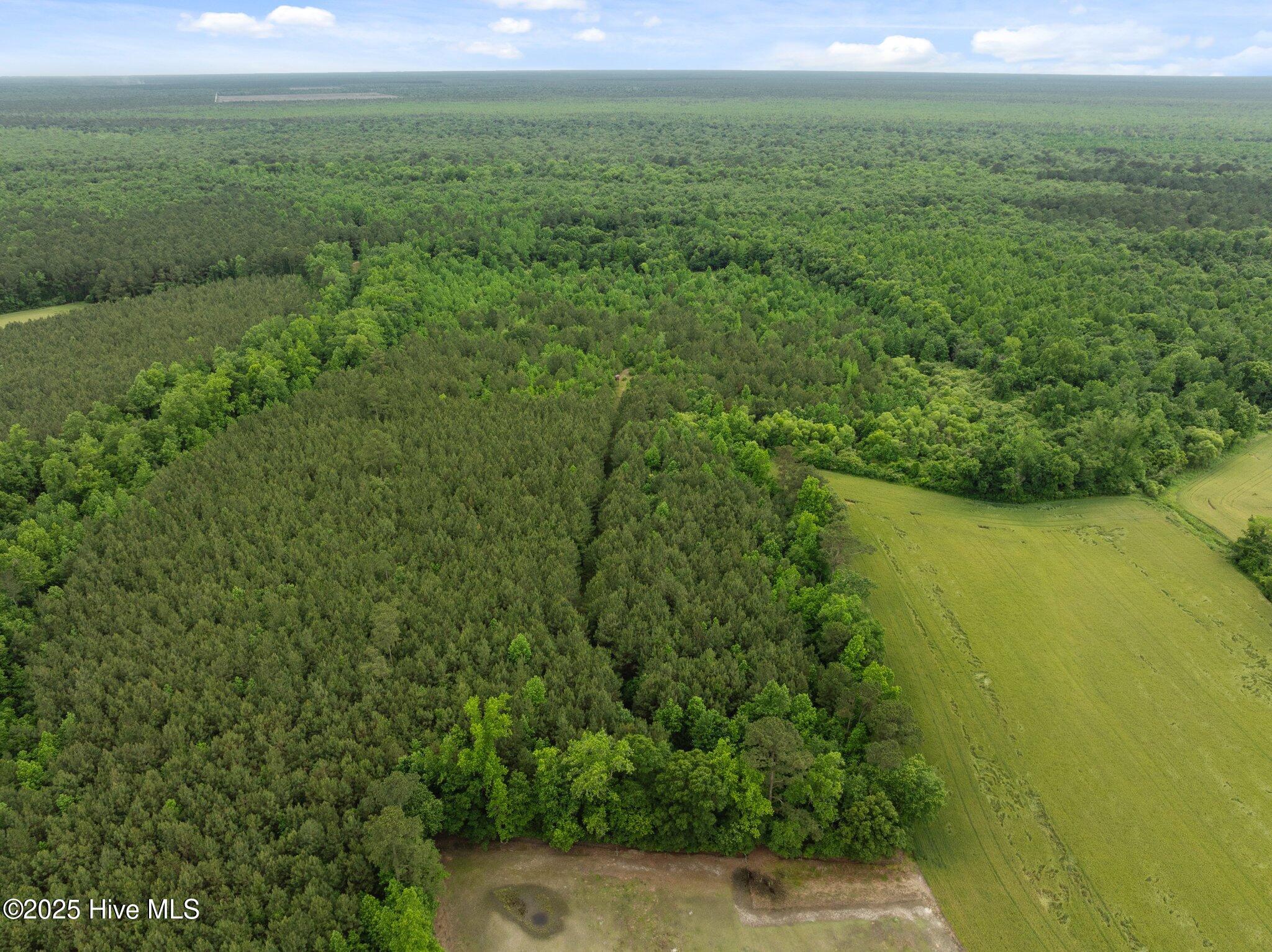 Property Photo: Tbd Nc-50 NC 28466