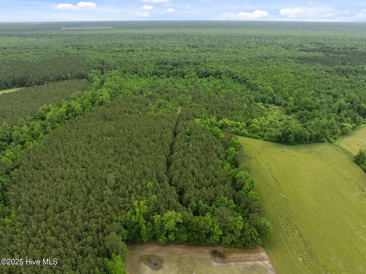 Property Photo:  Tbd Nc-50  NC 28466 