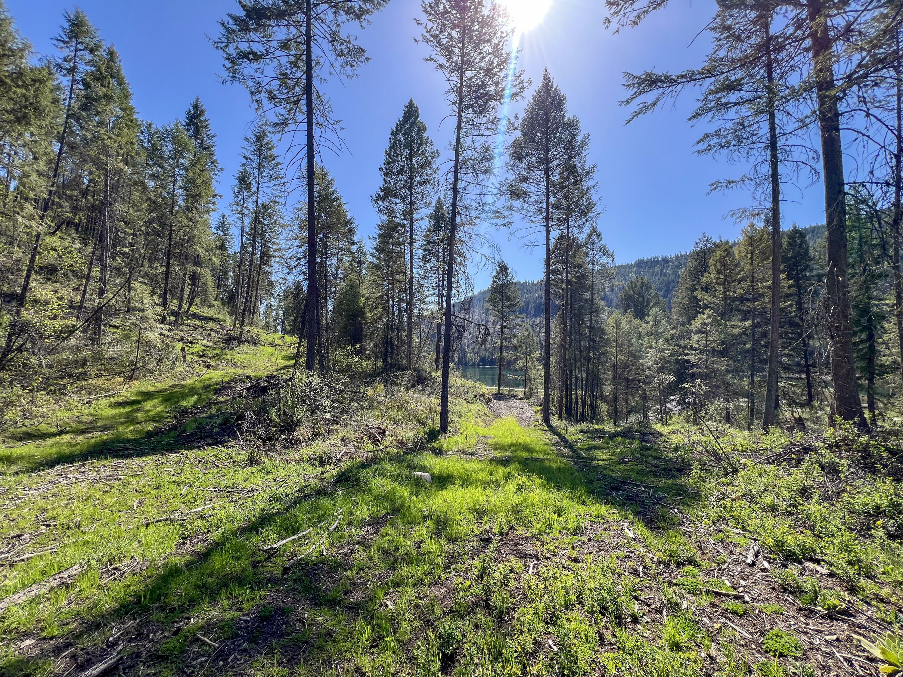 Property Photo: 16xx Williams Lake Rd WA 99114