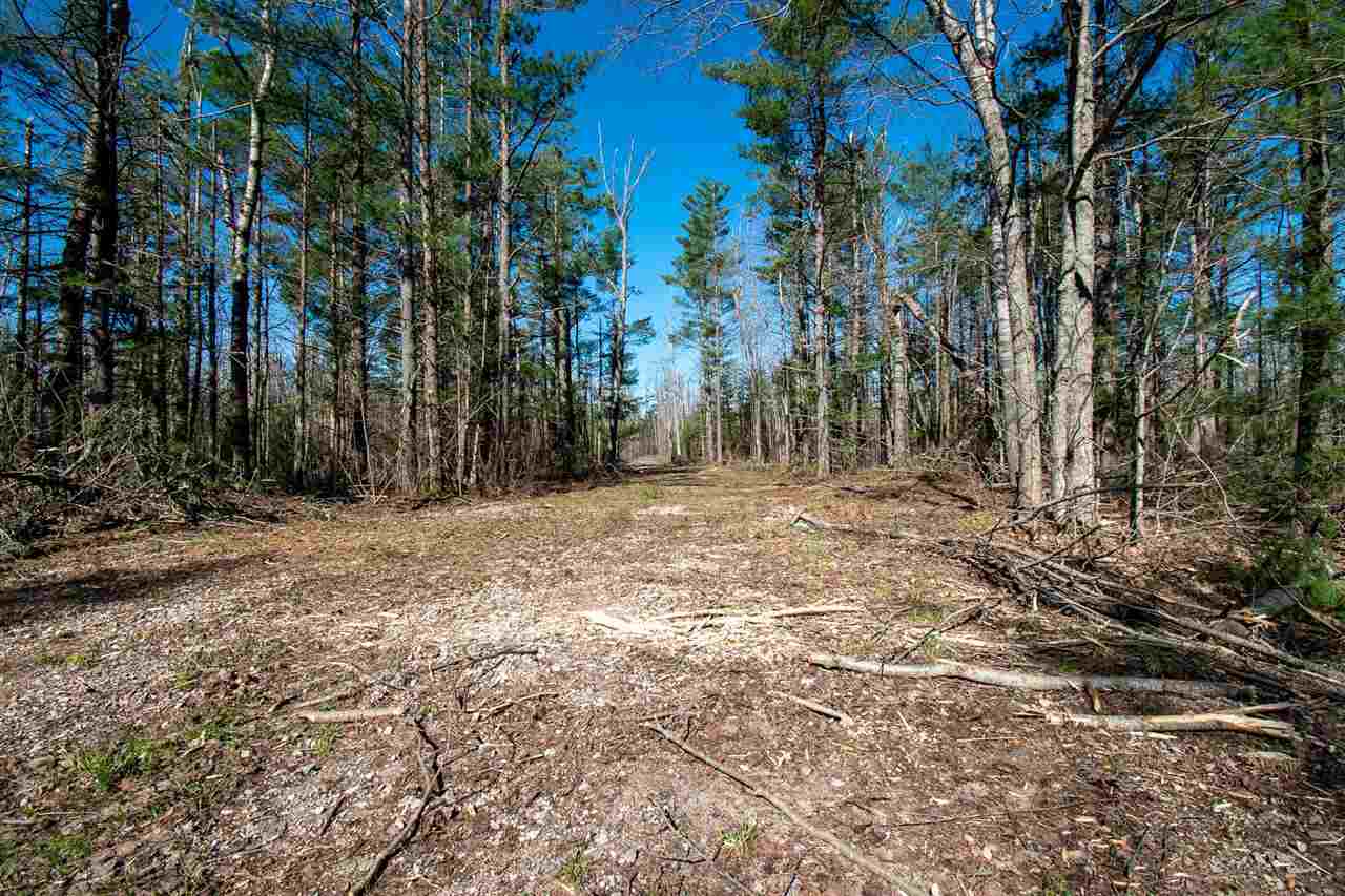 Property Photo: 2400 Lone Pine MI 49735