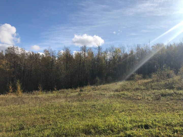 Property Photo: 16326 Twp Rd 675 115 AB T0A 2T0