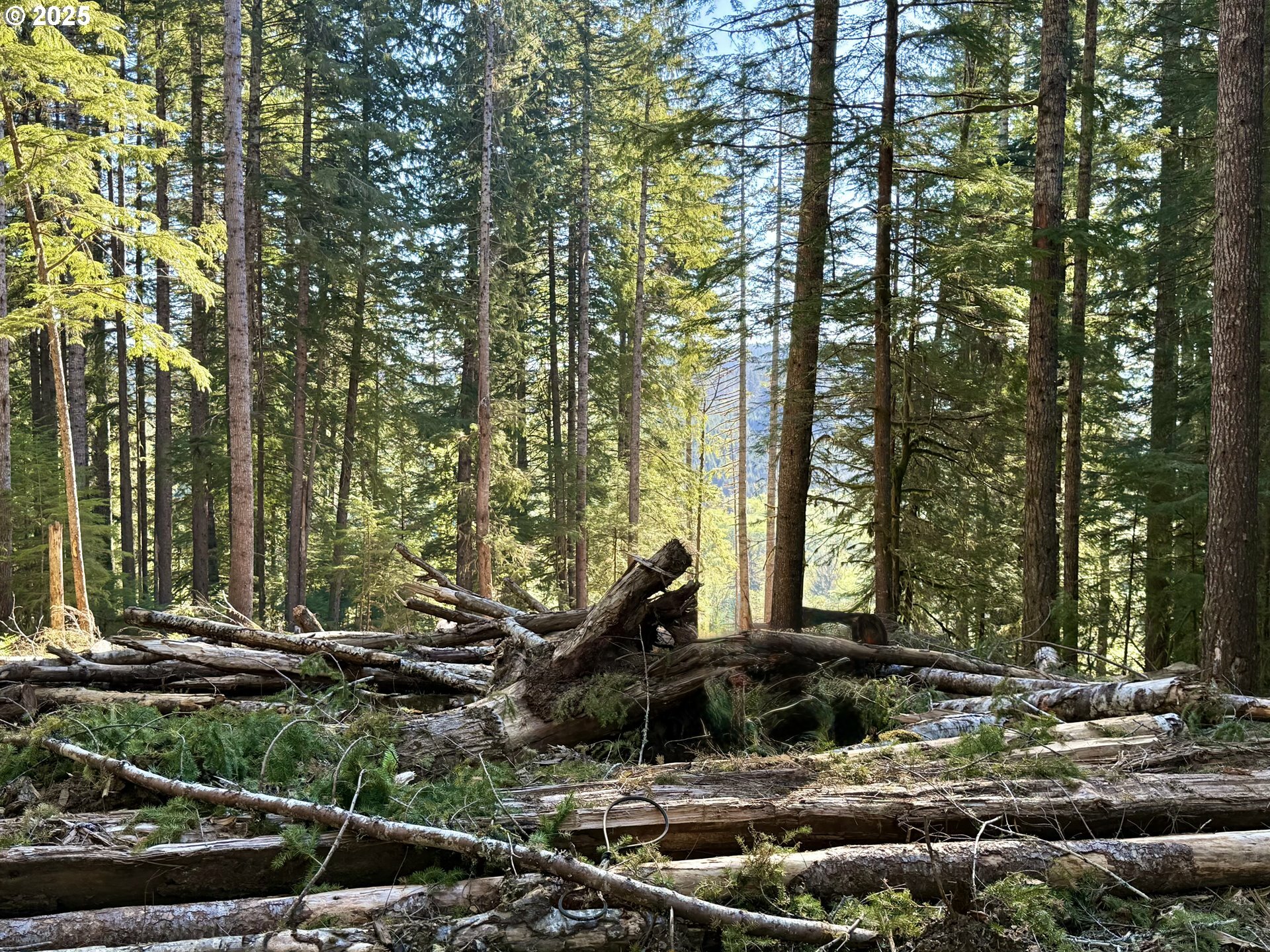 Property Photo: Buster Creek Mainlin OR 97138