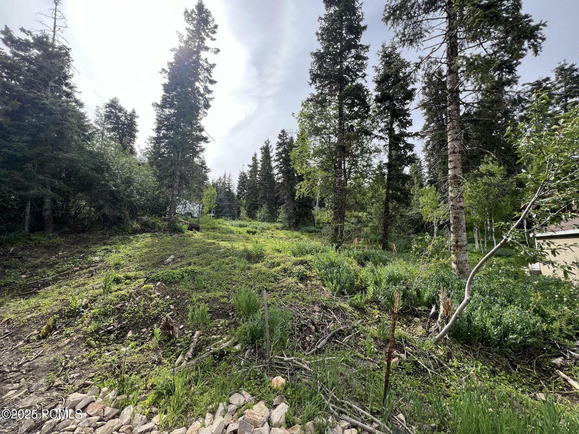Property Photo: 195 Saint Moritz Strasse UT 84098