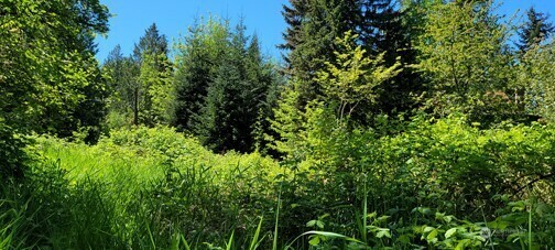 825  99th Avenue SE  Lake Stevens WA 98258 photo