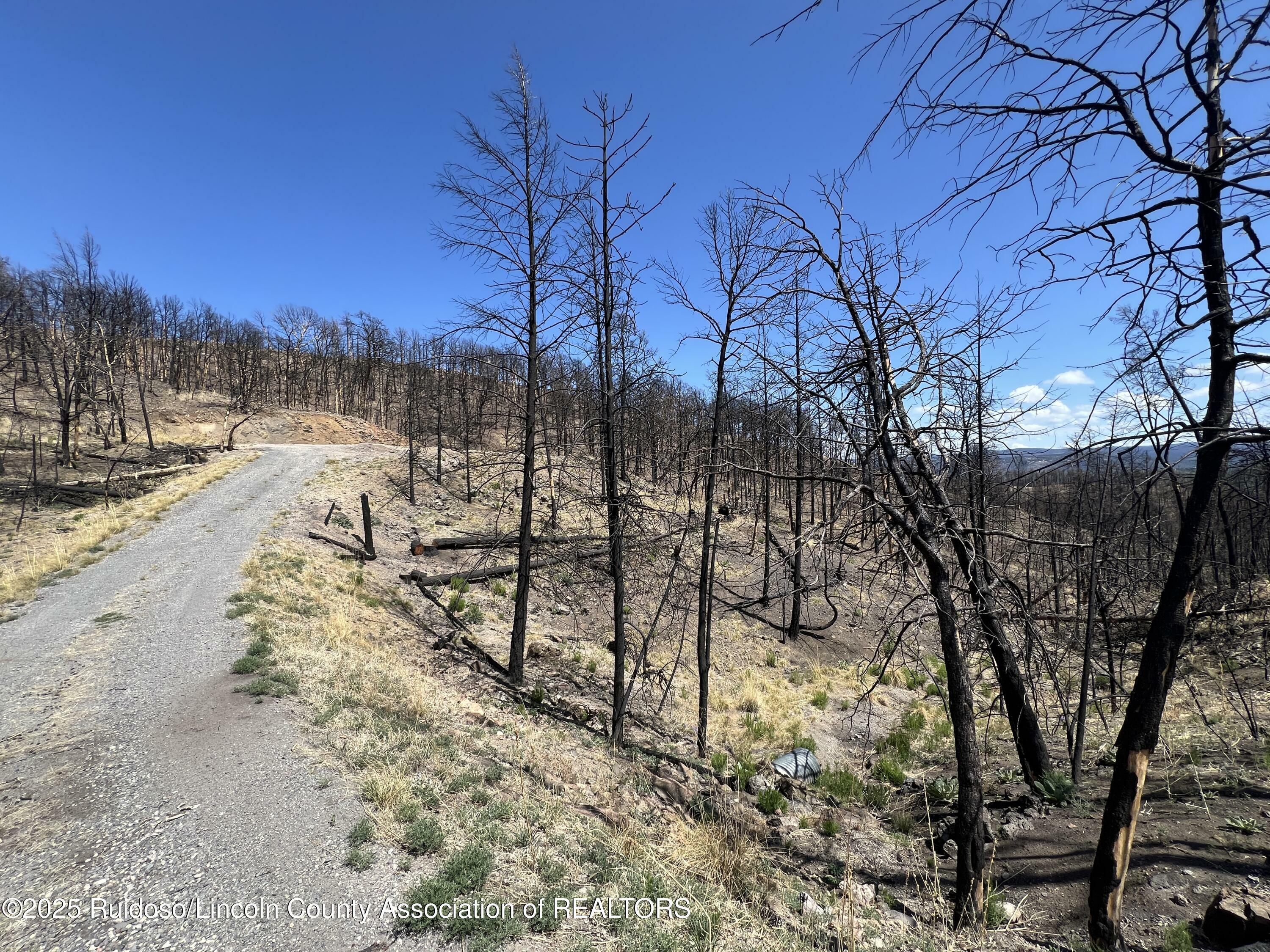Property Photo: 113 Red River Place NM 88345