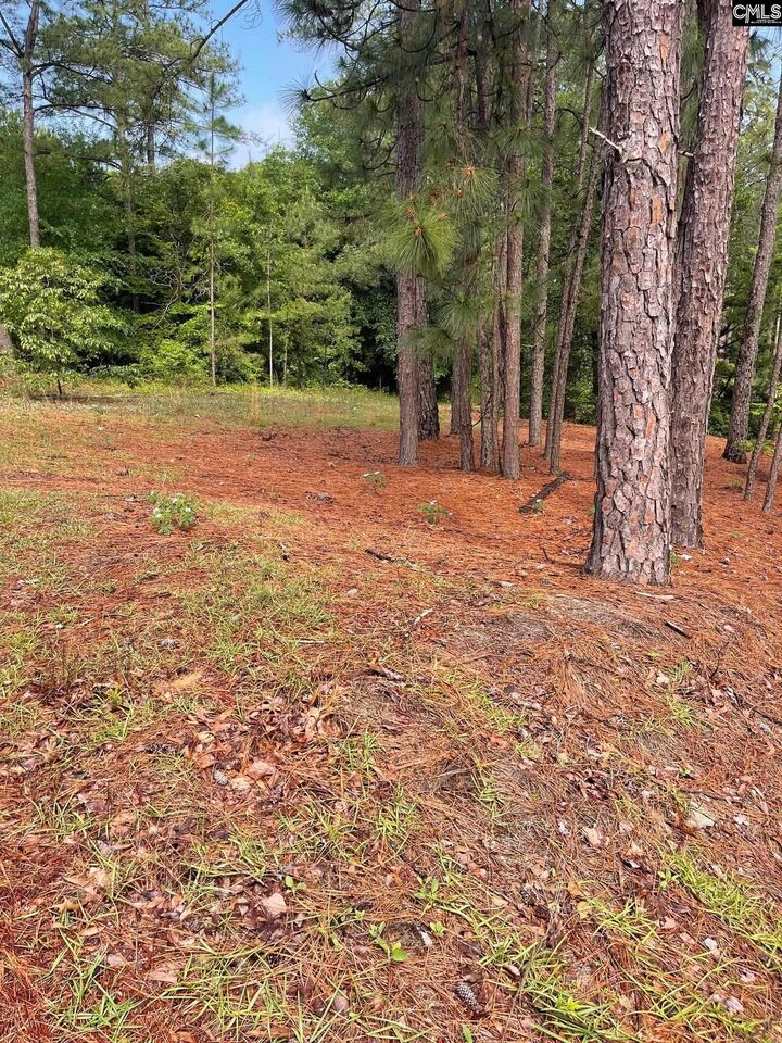 Property Photo:  2233 Bee Ridge  SC 29223 