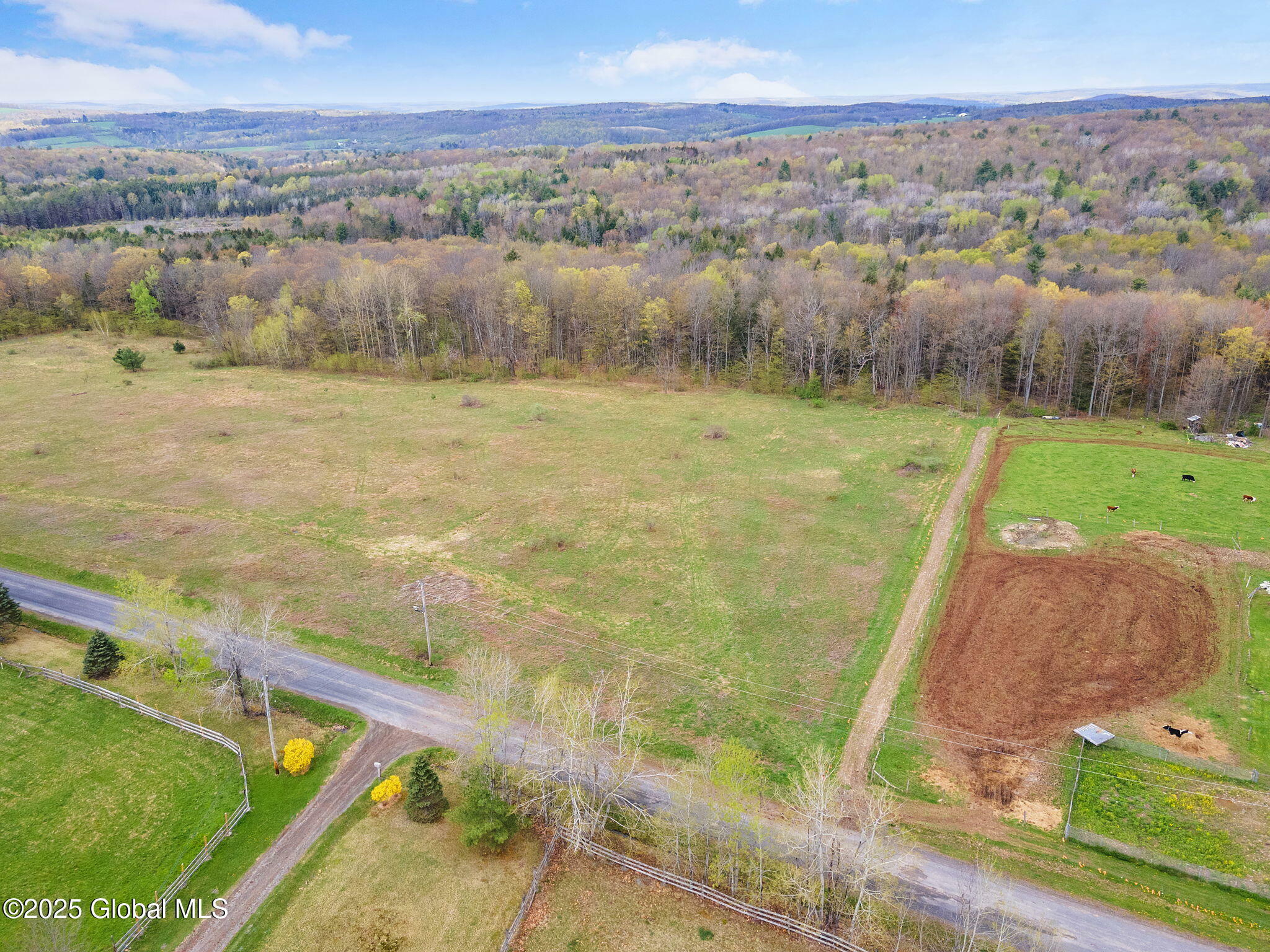 Property Photo: L18 Wylie Horton Rd NY 13778