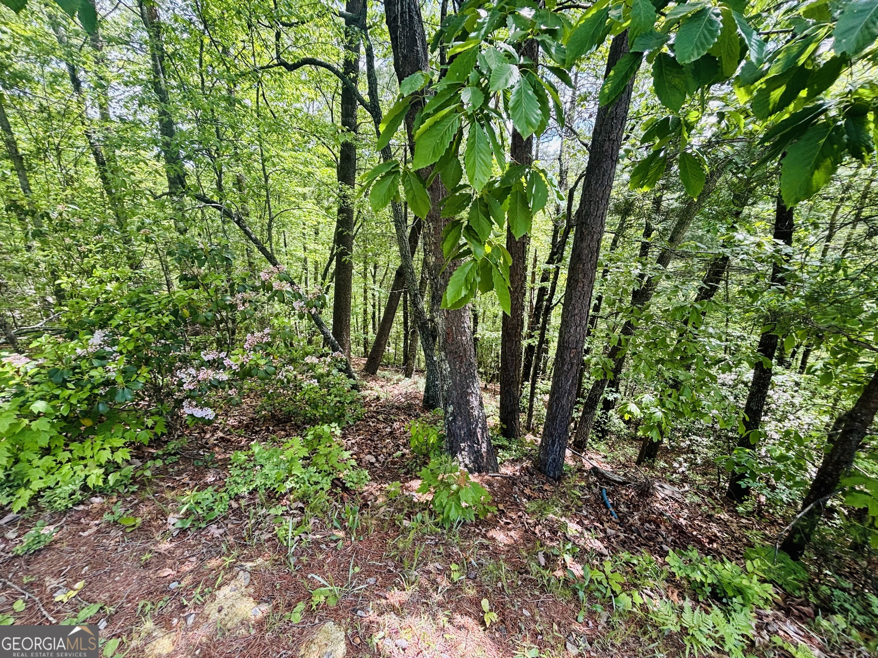Property Photo: 0 Rosen Strasse Lot 141 GA 30545