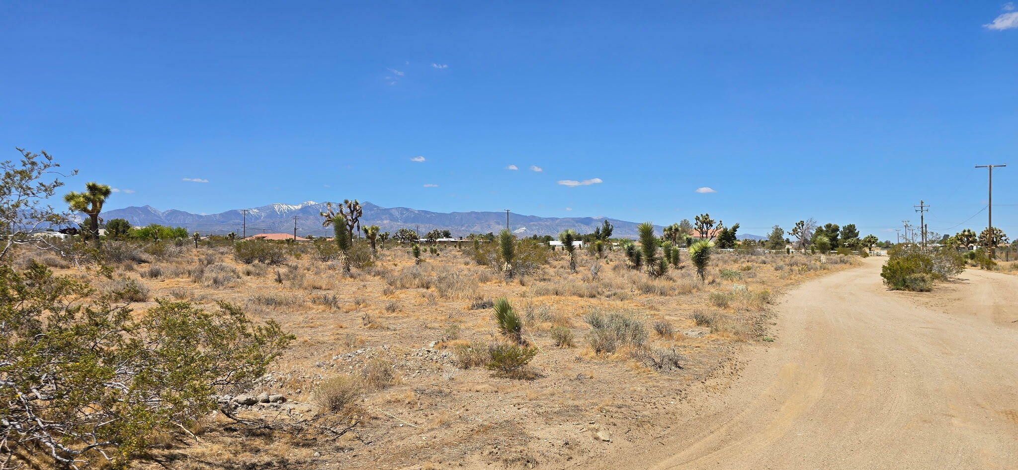 Property Photo: Aprox Mono Rd And Daisy Rd CA 92371