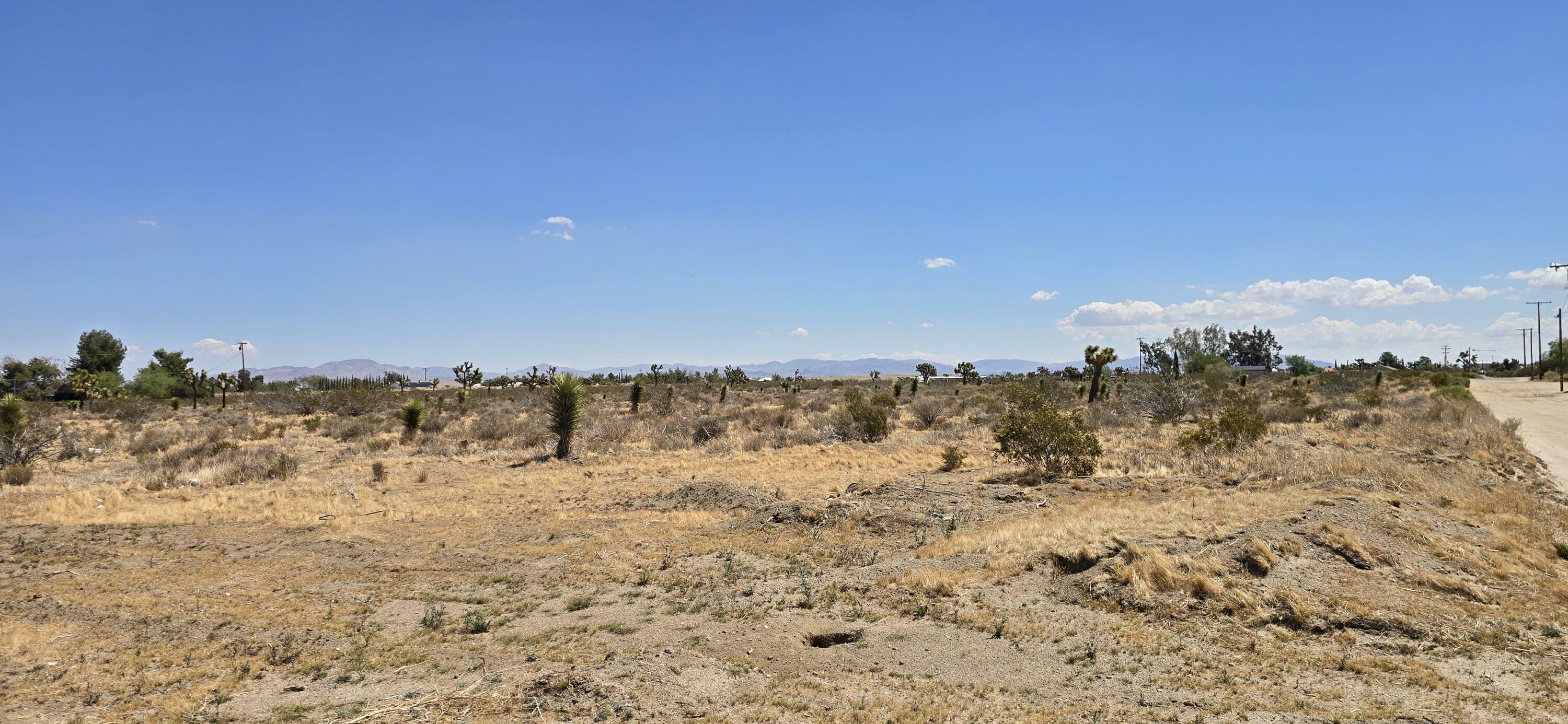 Property Photo: Aprox Solano Rd And Mono Rd CA 92371