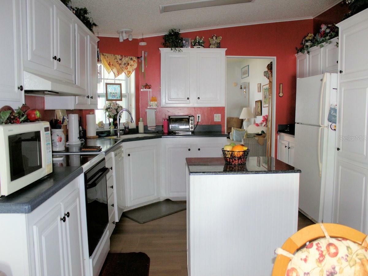Property Photo: 51 Pindo Palm Street E FL 33770