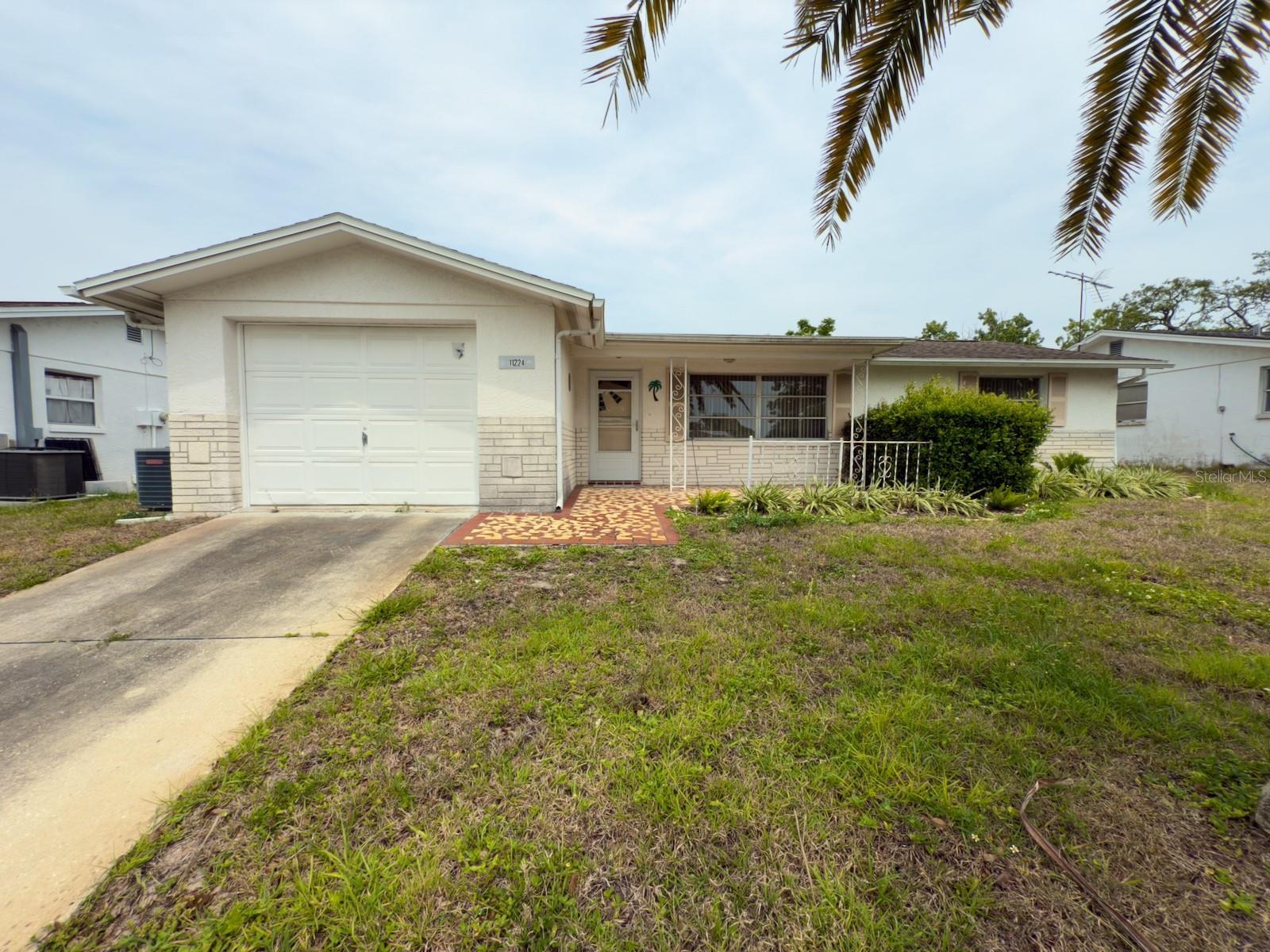 Property Photo:  11224 Yewtree Avenue  FL 34668 