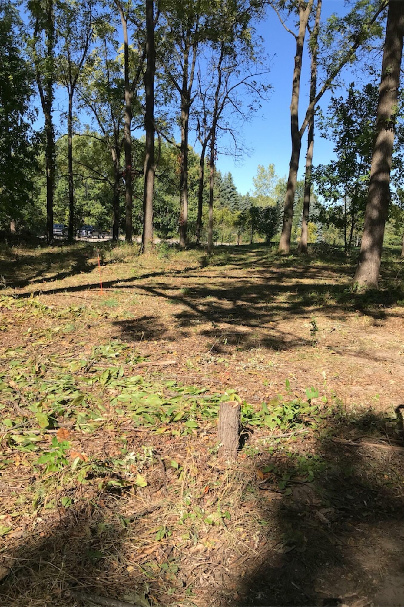 Property Photo: 4127 Carriage Hill Drive MI 48455