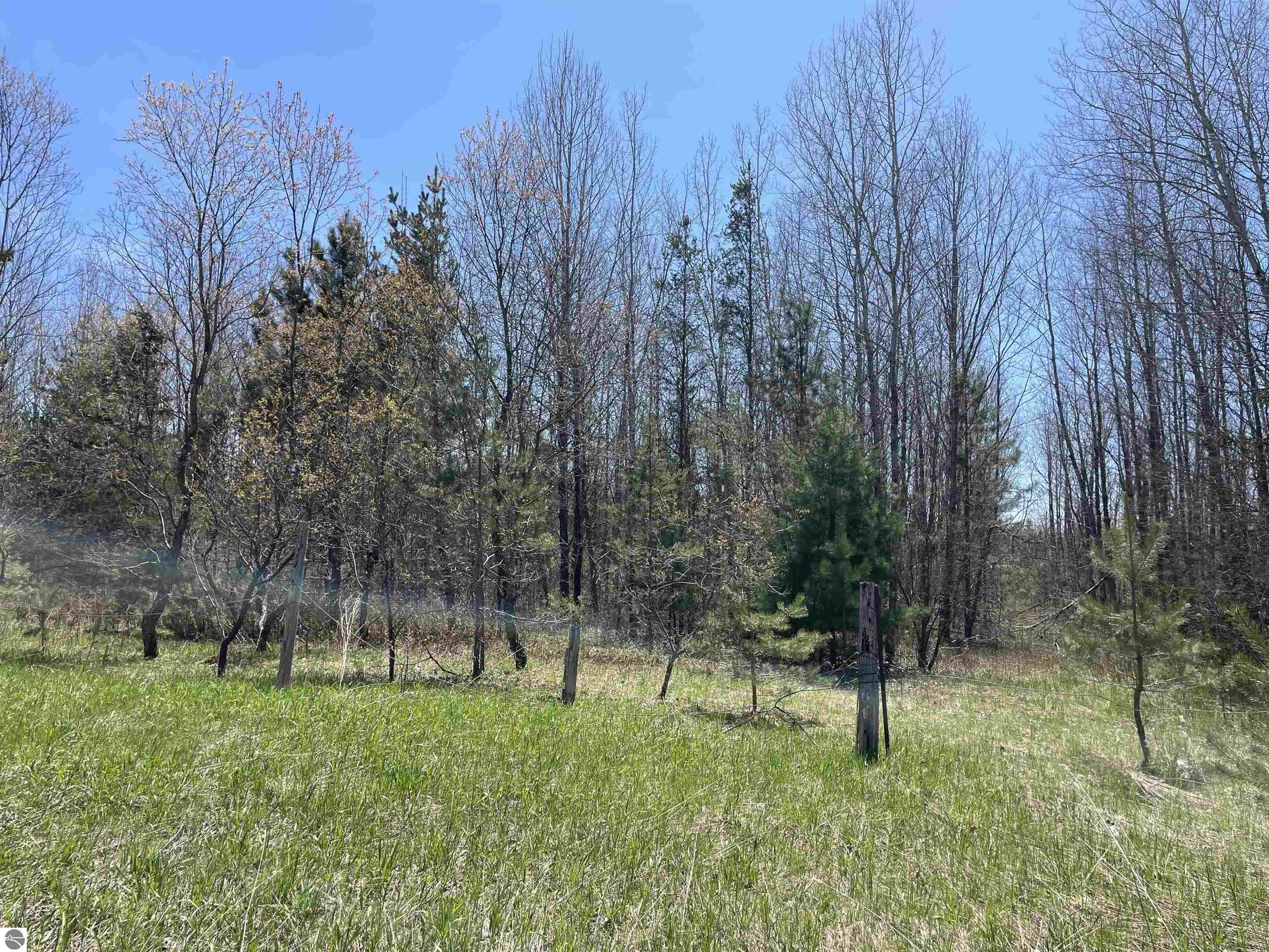 Property Photo: 000 E 38 Road MI 49601