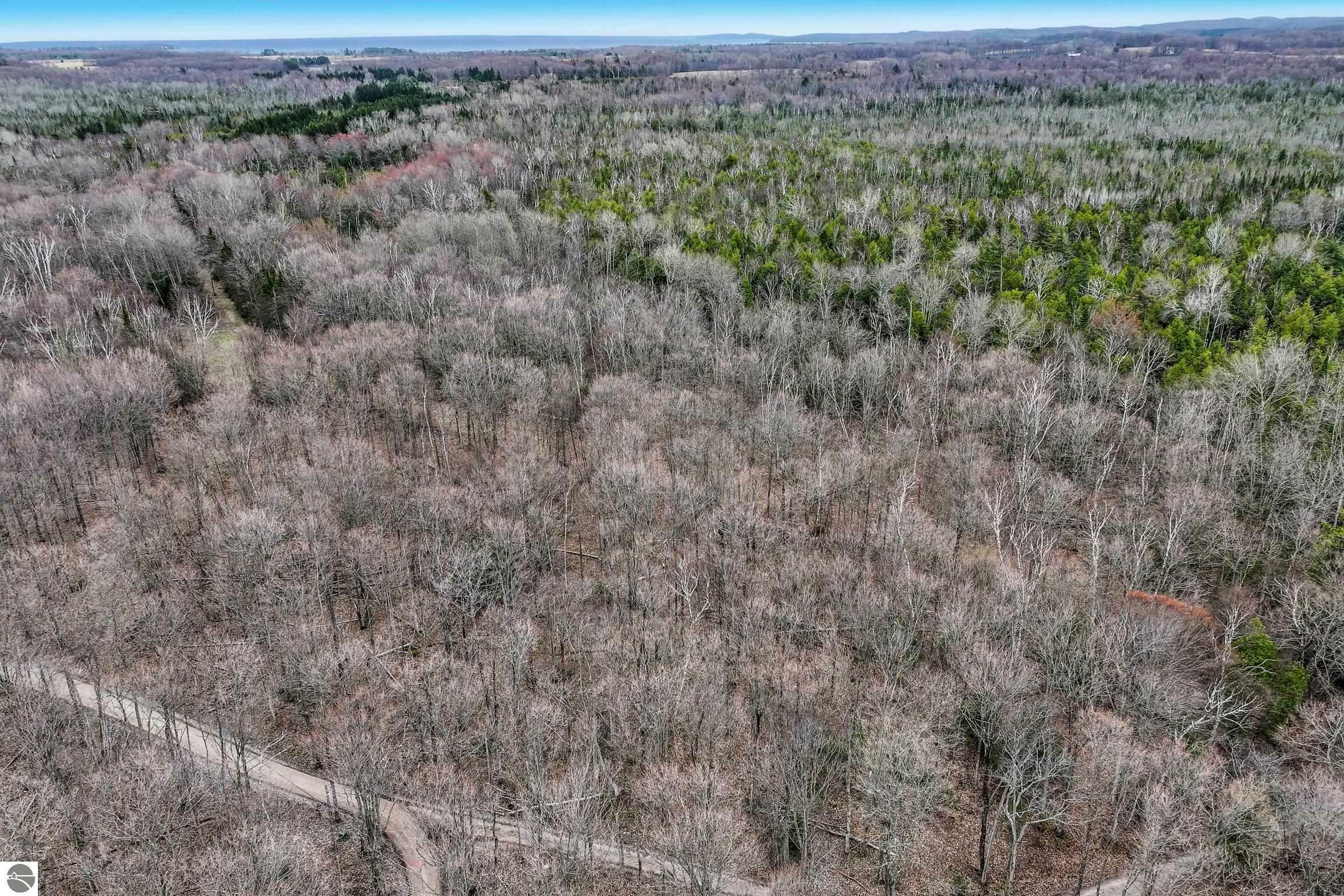 Property Photo: 00 E Elnora Drive MI 49670