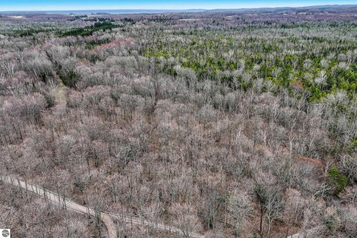 Property Photo: 00 E Elnora Drive MI 49670