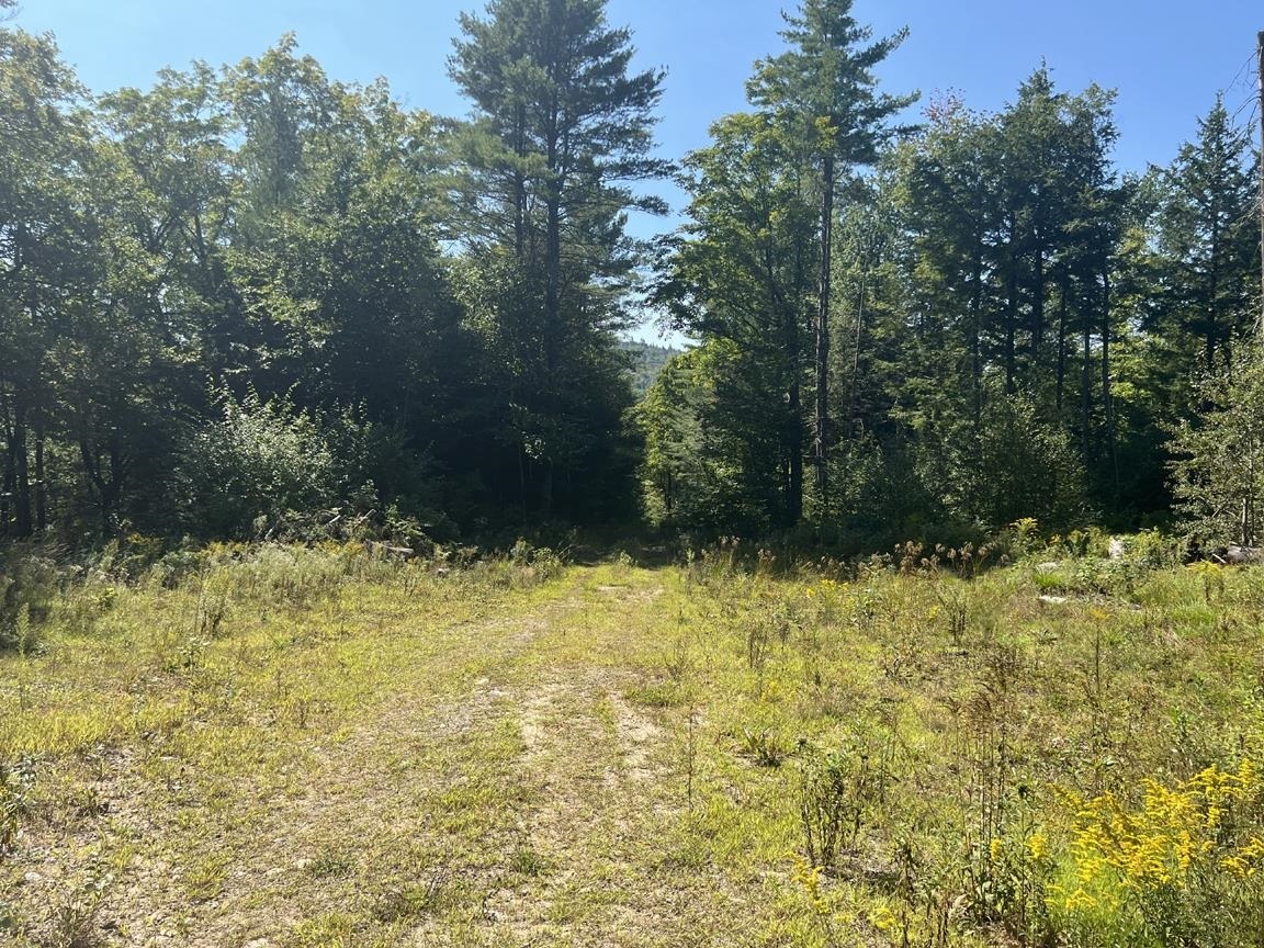 Property Photo: 22 Plaisted Road NH 03223