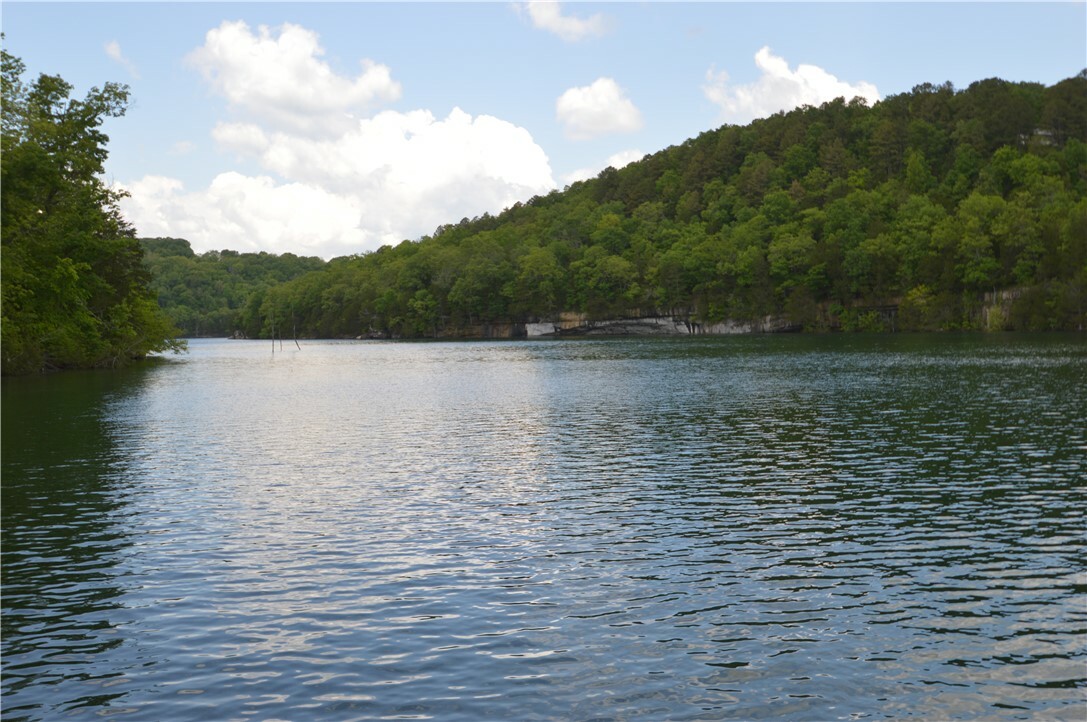 Property Photo: 24550 Capps Ranches Road AR 72756