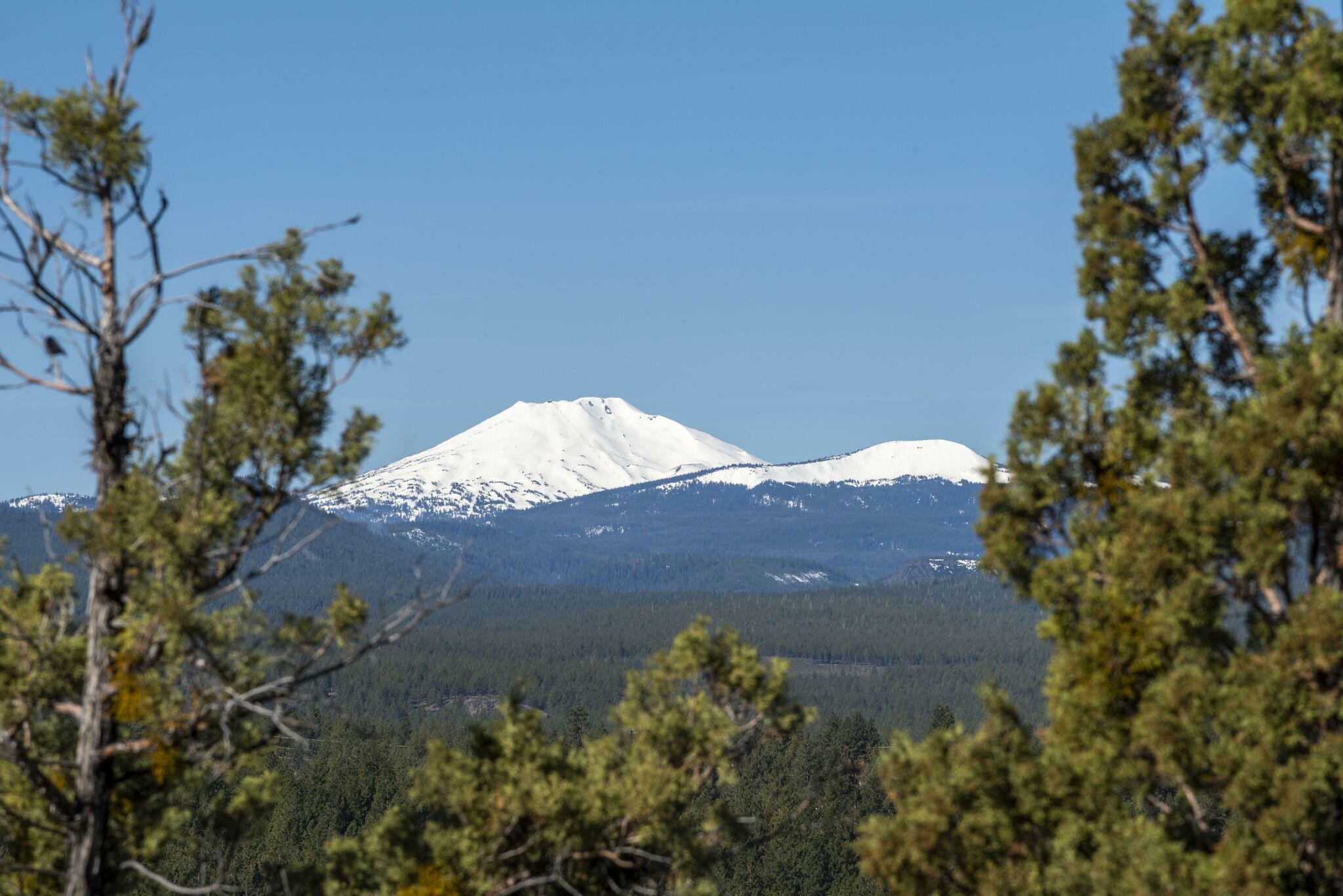 Property Photo: 3025 NW Horizon Drive OR 97703