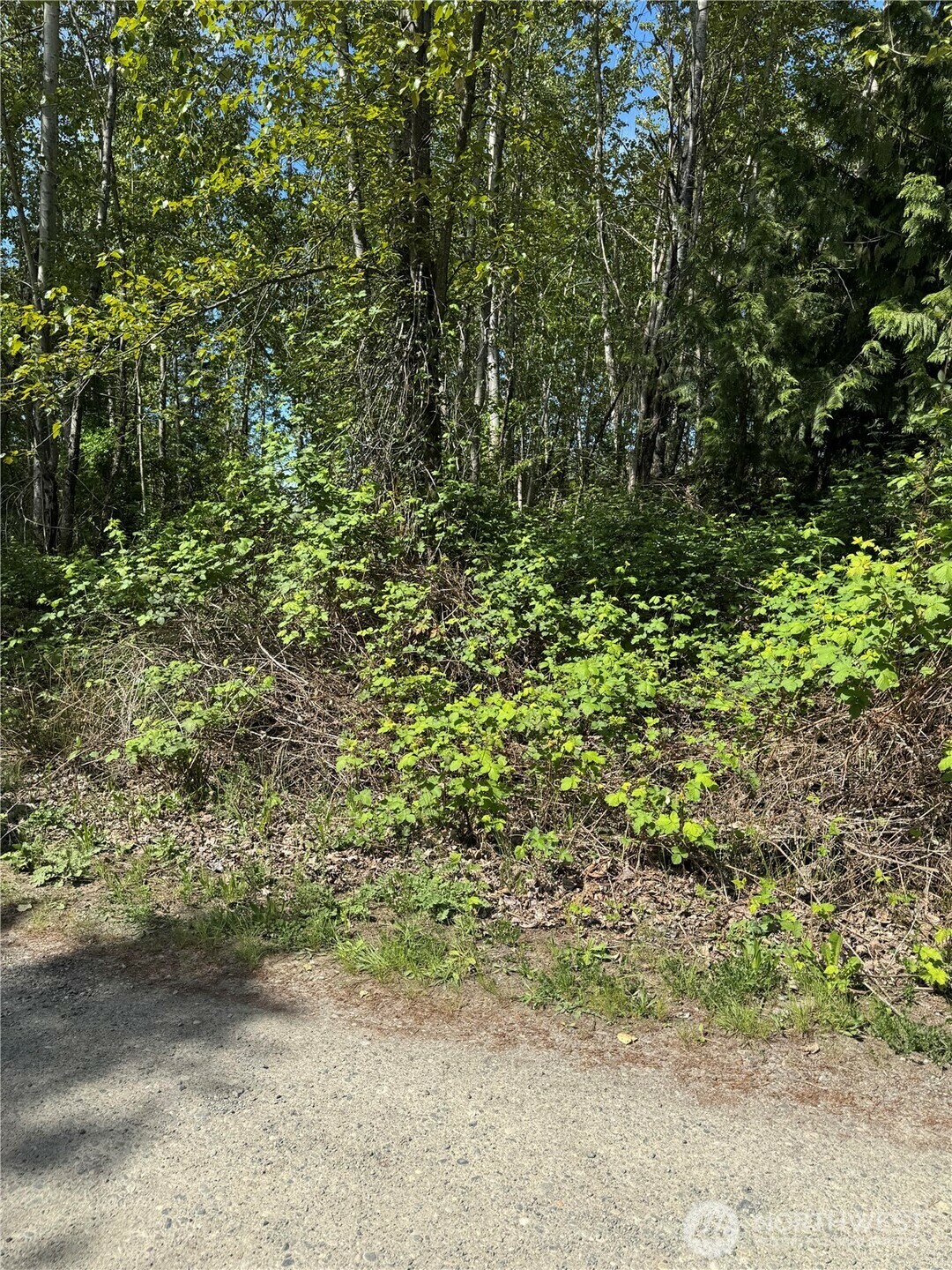 Property Photo:  101 Xx  221st Avenue E  WA 98391 