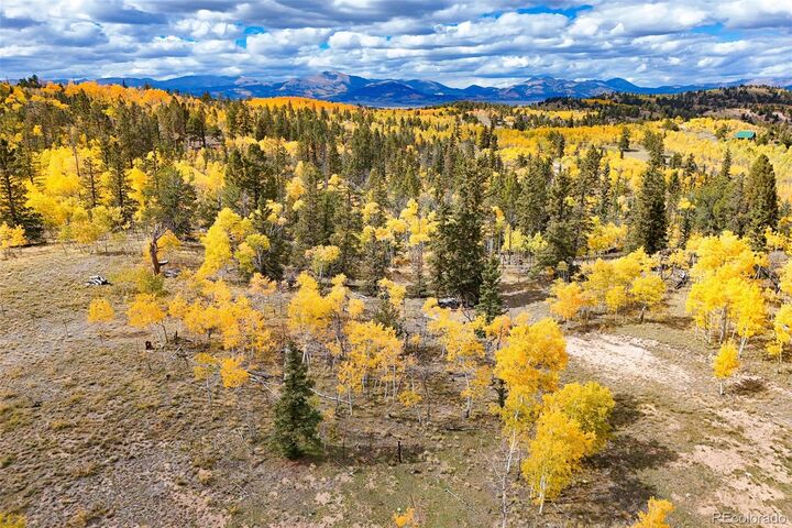 Property Photo:  4019 Buffalo Ridge Road  CO 80432 