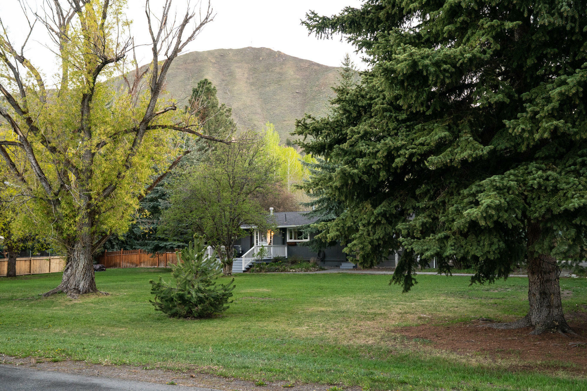 Property Photo: 911 Queen Of Hills Dr ID 83333