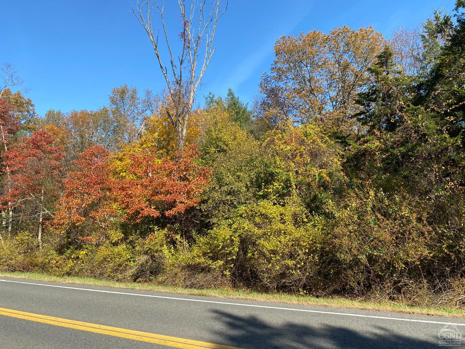 Property Photo:  0 Beaver (Jackson Crs)  NY 12571 