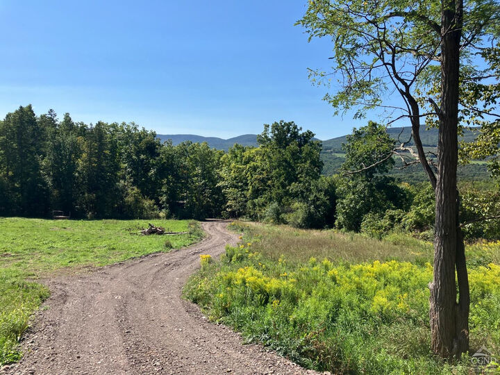 Property Photo:  0 County Route 20  NY 12422 