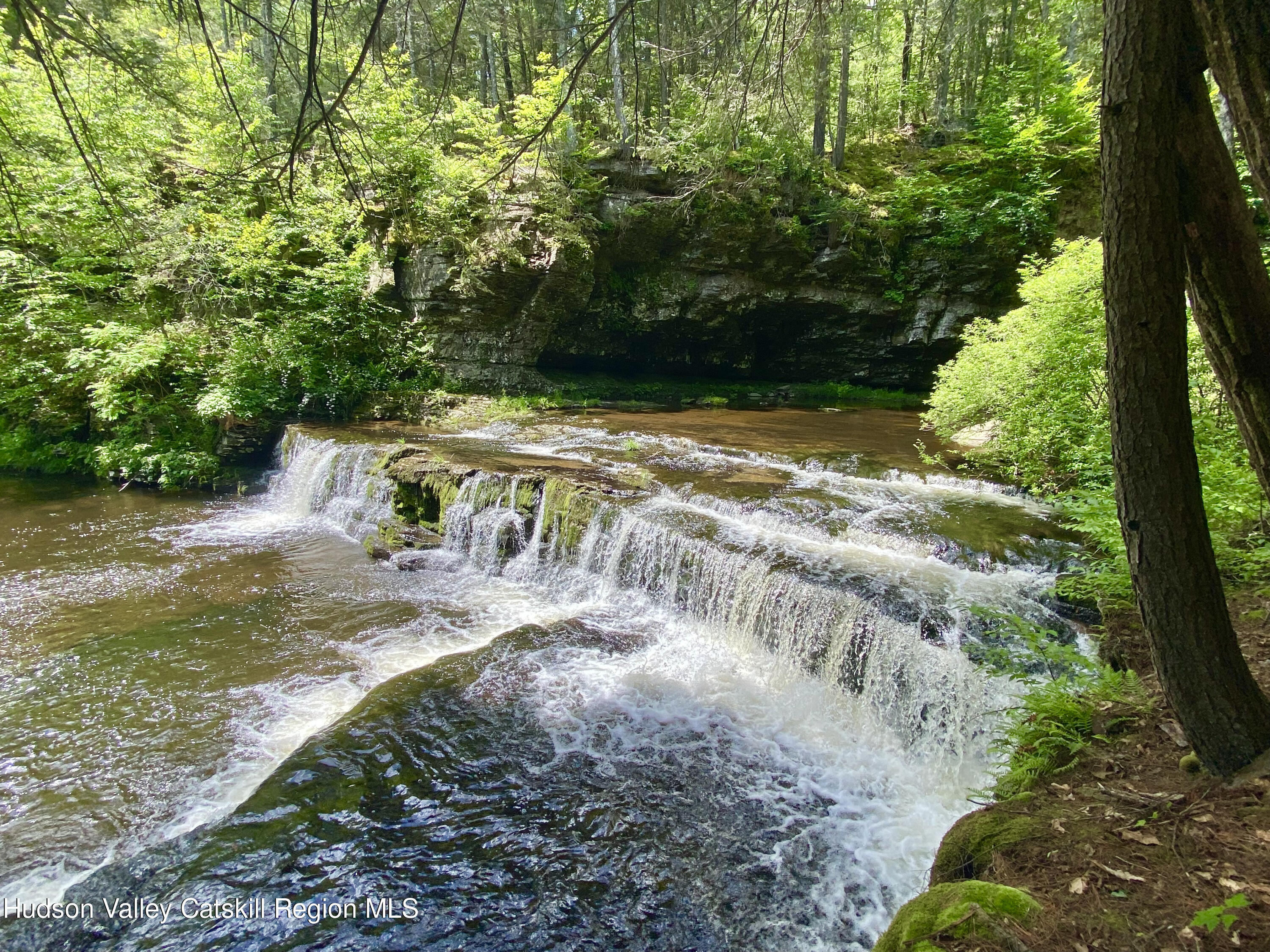 Property Photo: 281 Dewitt NY 12461