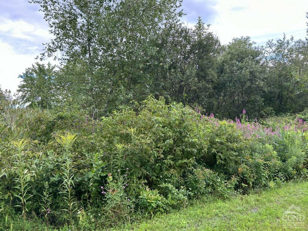 Property Photo: 58 Ichabod Crane NY 12015