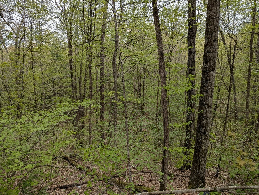 Property Photo: 00 Union Hill Road NY 13743