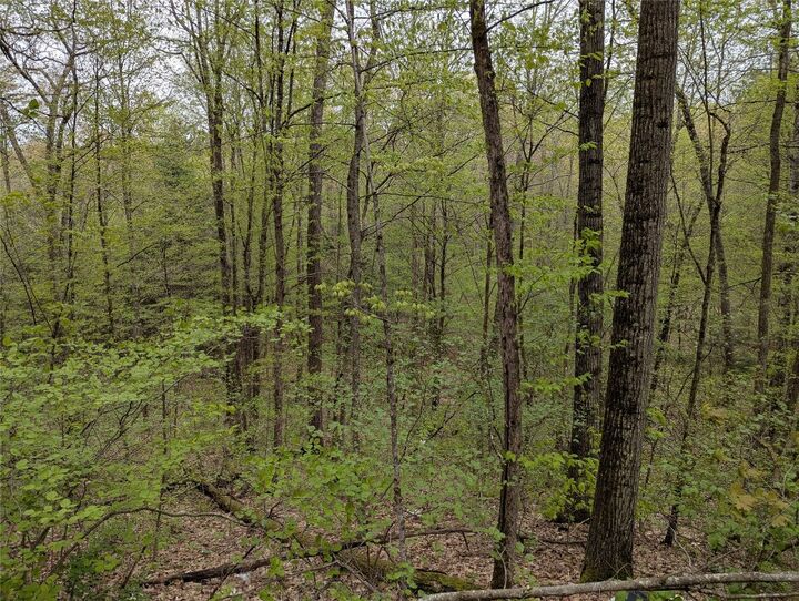 Property Photo: 00 Union Hill Road NY 13743