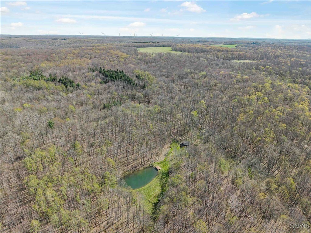 Property Photo: 3882 Hurd Road NY 14839