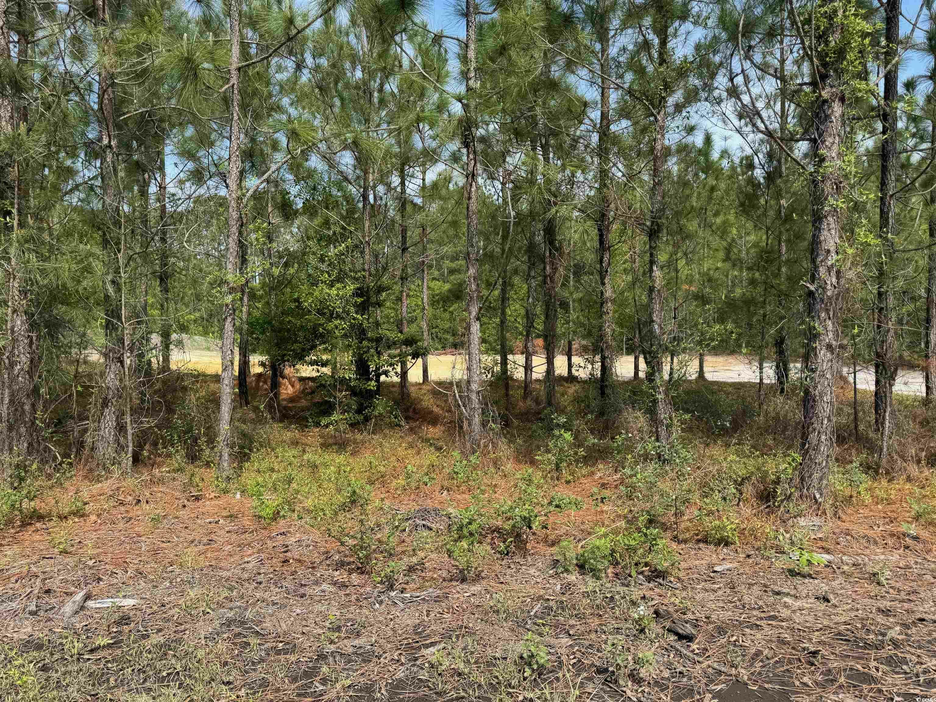 Property Photo: 1698 Carriage Dr. SC 29569