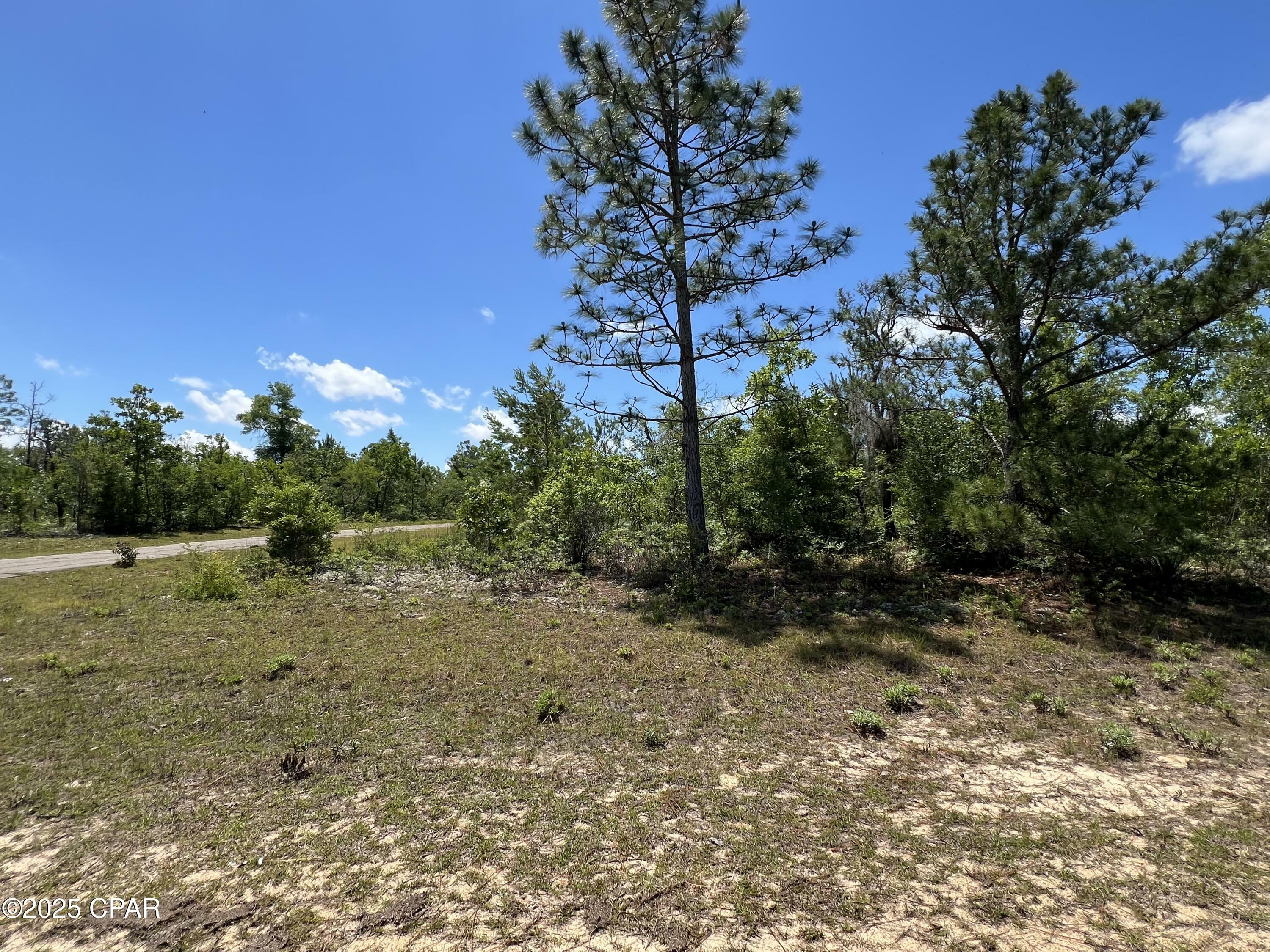 Property Photo: 000 Millwood Place Place FL 32428
