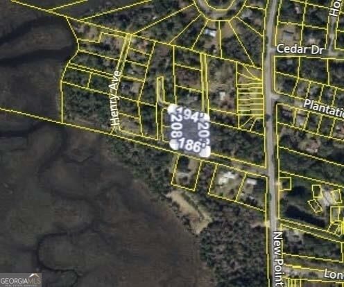 Property Photo:  110 Pagan Street  GA 31558 