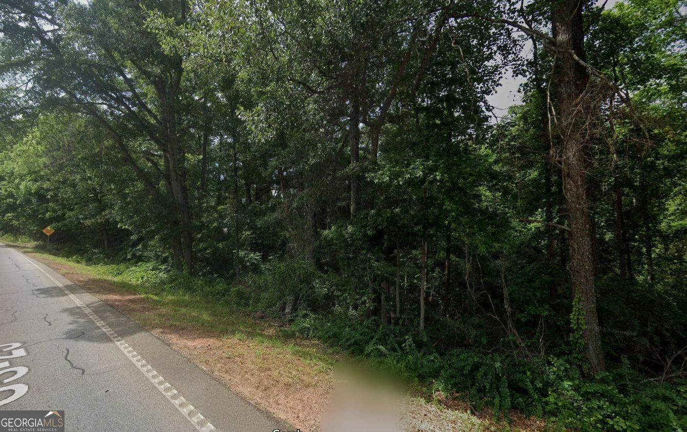 Property Photo: 0 Highway 42 S GA 30248