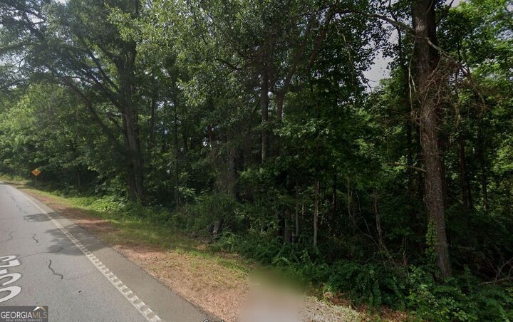 Property Photo:  0 Highway 42 S  GA 30248 