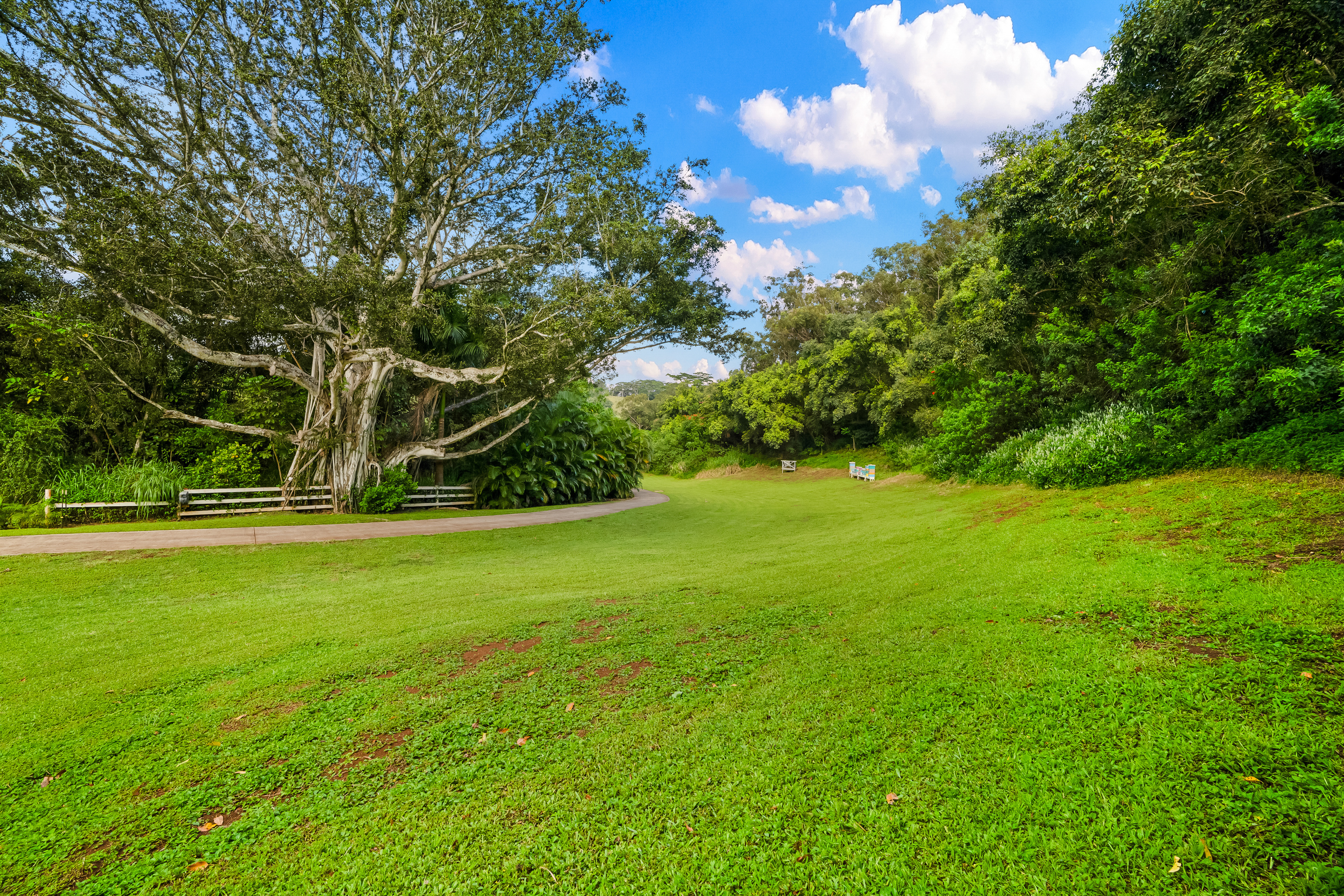 Umiumi Rd  Kalaheo HI 96741 photo