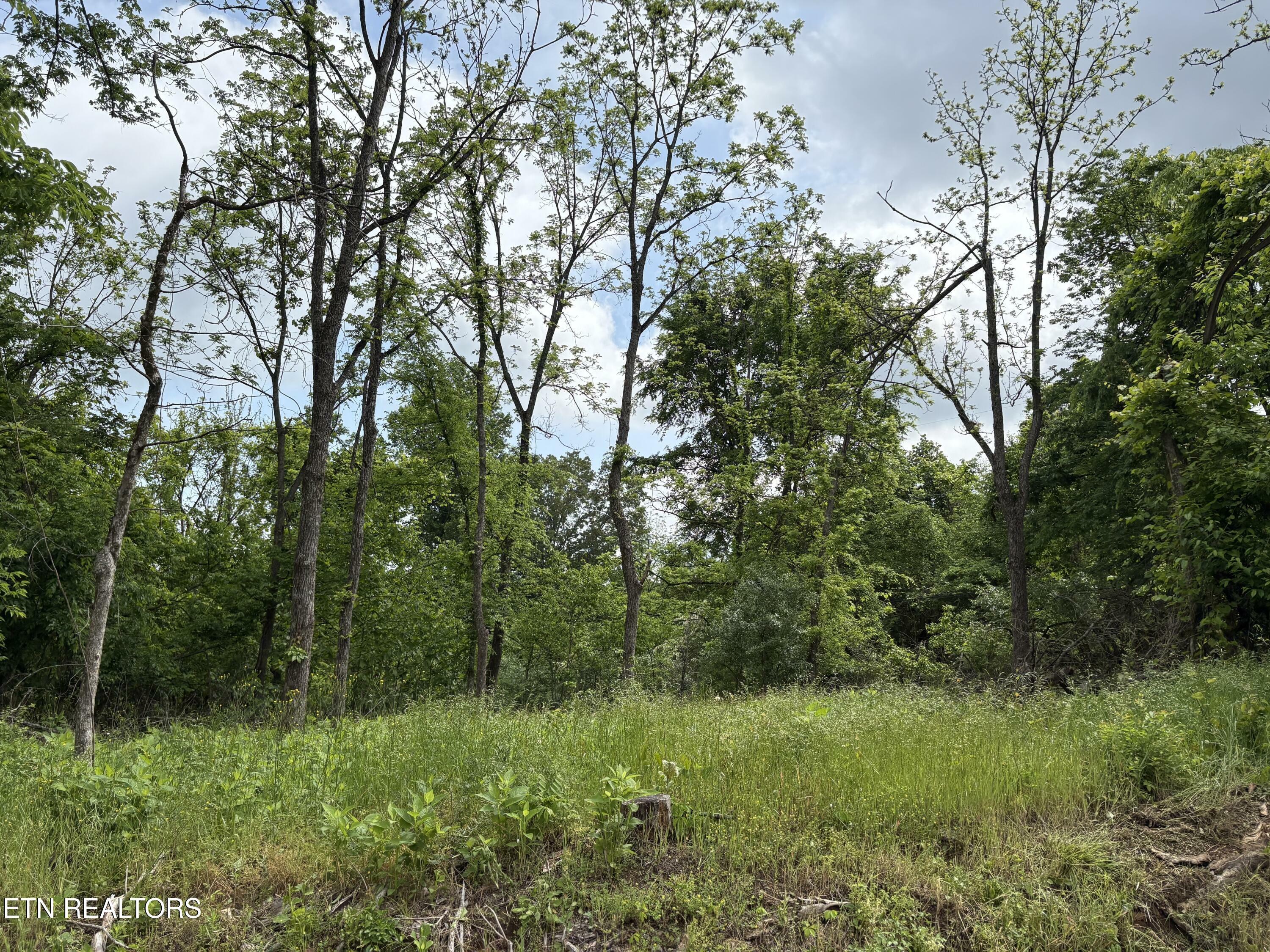Grubb Rd  Lenoir City TN 37771 photo